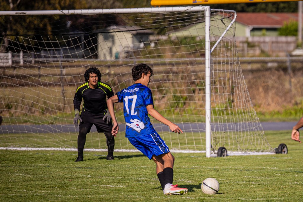 A soccer player in a blue jersey, numbered 17, prepares to kick the ball on a grassy field while a goalkeeper in black watches closely.