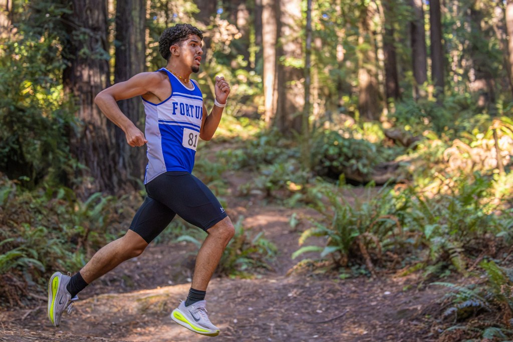 A young male runner in a blue athletic uniform with the number 81, sprinting along a dirt trail in a forested area with tall trees and ferns in the background.