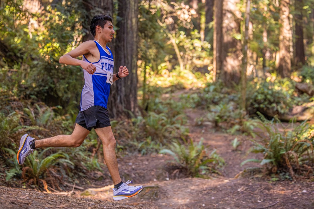 A male runner in a blue athletic tank top and black shorts sprinting through a forested trail surrounded by greenery.