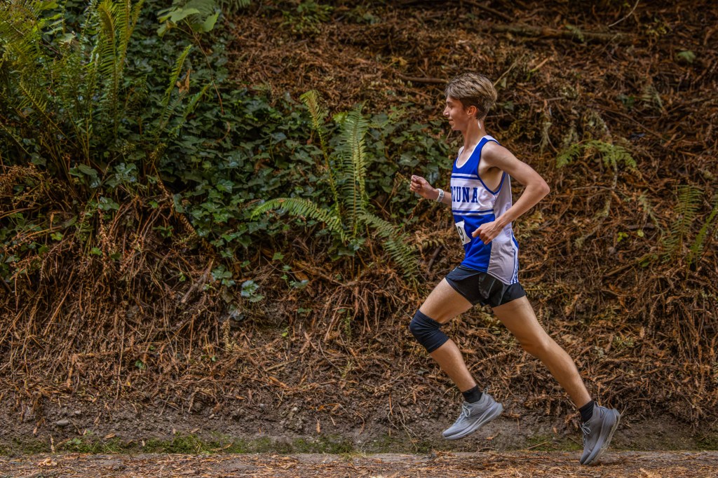 A young male runner in a blue and white athletic uniform jogs along a dirt path surrounded by ferns and foliage.