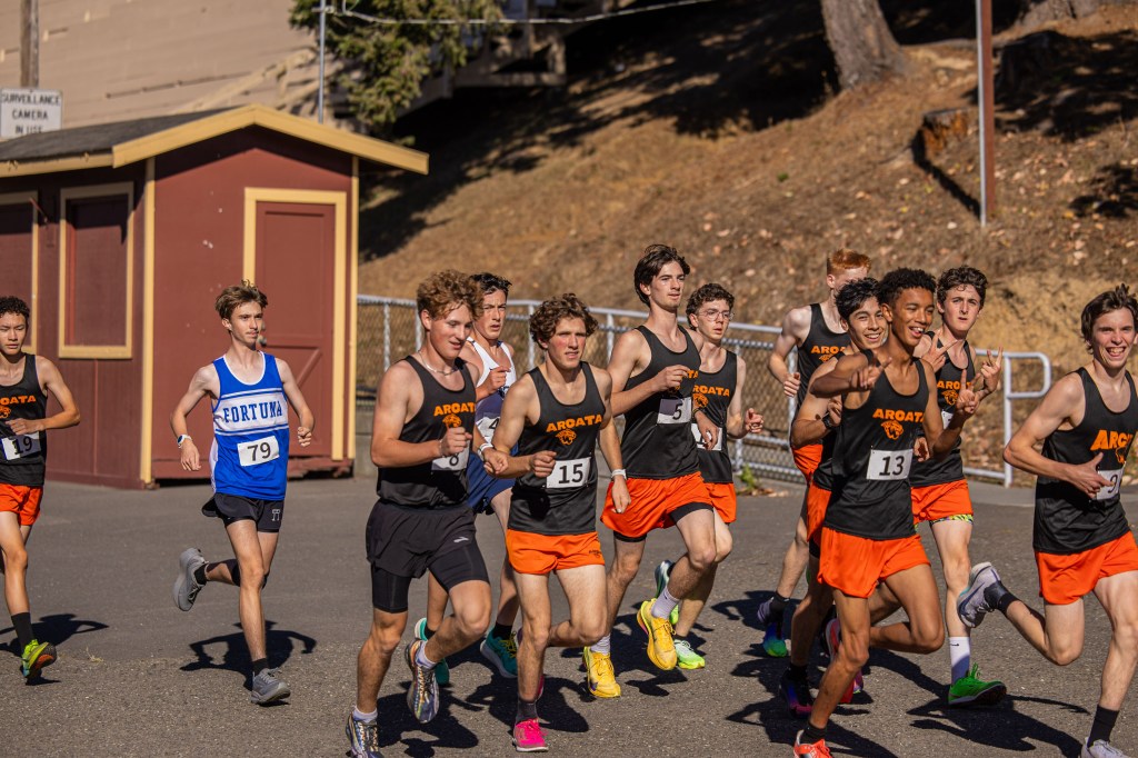 A group of male cross-country runners in racing uniforms, some wearing black and orange, compete on a track alongside a building.