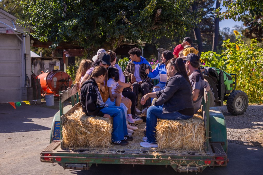 A group of people sitting on a hayride trailer, surrounded by greenery and farm equipment, enjoying a sunny day outdoors.