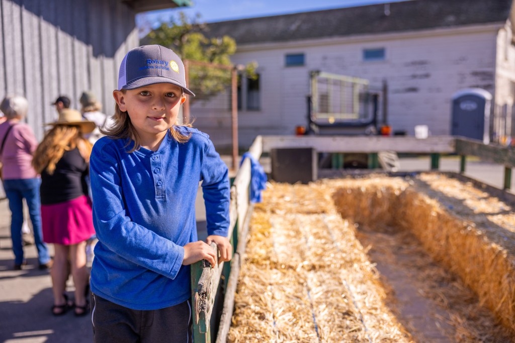 A young boy wearing a blue long-sleeve shirt and a gray cap stands by a hay-lined area, with a group of people in the background.