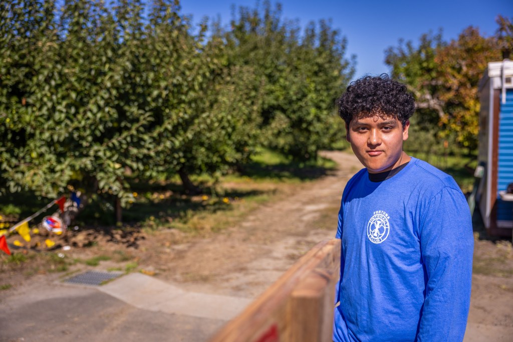 A young person in a blue long-sleeve shirt stands near a wooden fence in an orchard, with apple trees and a clear blue sky in the background.